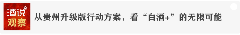 行业调整深水区,冀酒高质量发展的答案在哪里?
