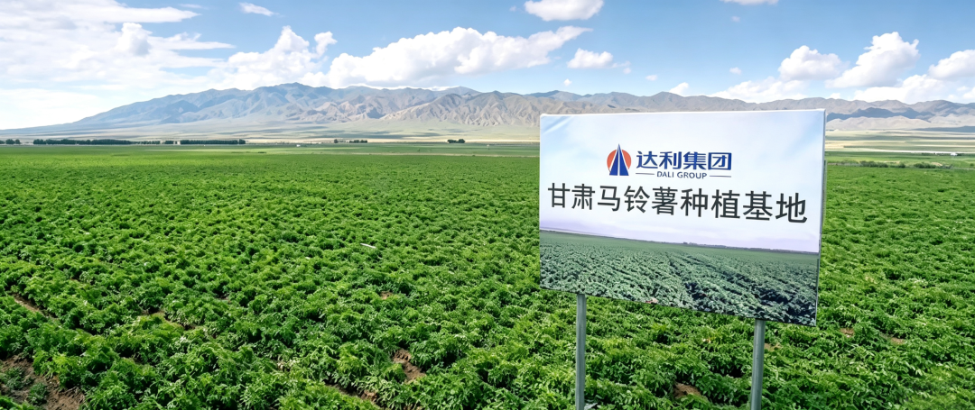2年首换代言人,可比克携手张凌赫打响国货薯片年轻化升级战"