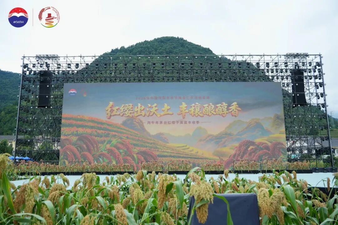 三年三届,解码茅台红缨子高粱丰收季的文化IP进阶之路