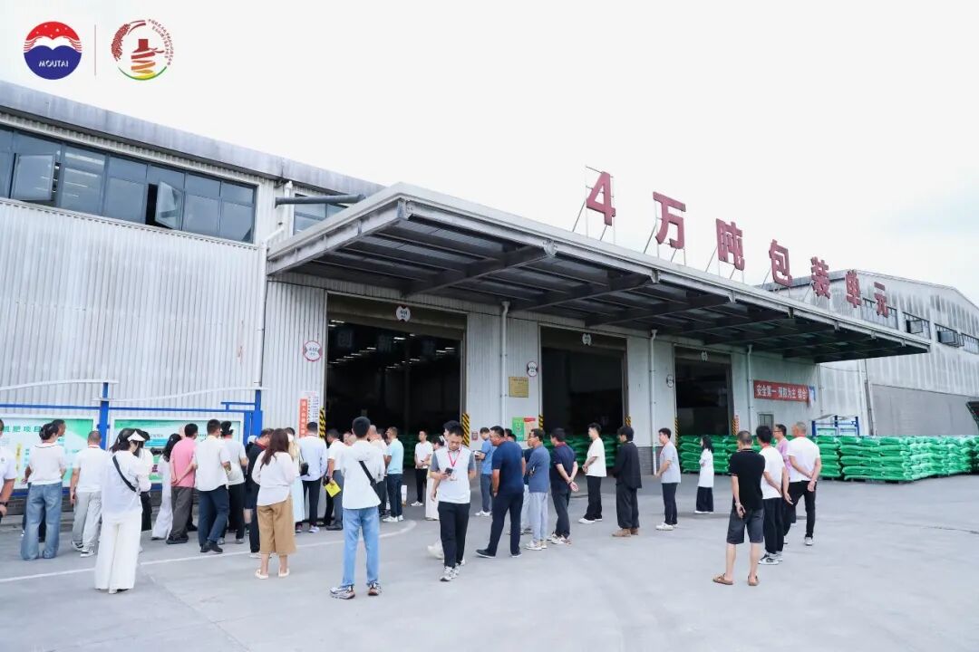 三年三届,解码茅台红缨子高粱丰收季的文化IP进阶之路