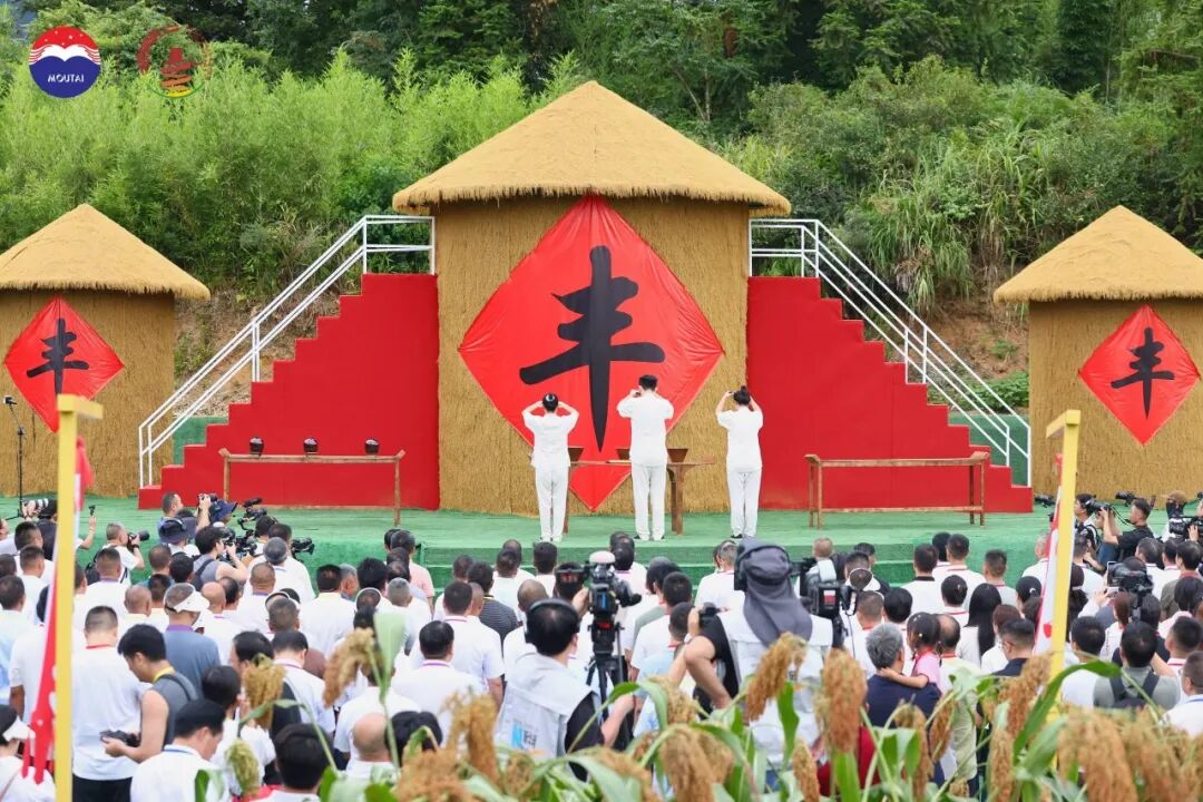 三年三届,解码茅台红缨子高粱丰收季的文化IP进阶之路