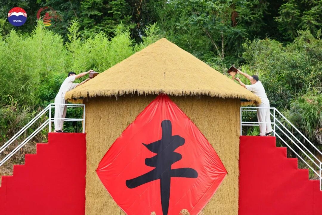 三年三届,解码茅台红缨子高粱丰收季的文化IP进阶之路