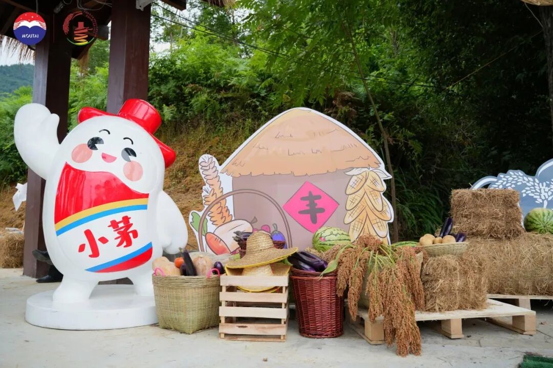 三年三届,解码茅台红缨子高粱丰收季的文化IP进阶之路