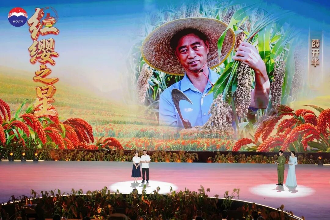 三年三届,解码茅台红缨子高粱丰收季的文化IP进阶之路