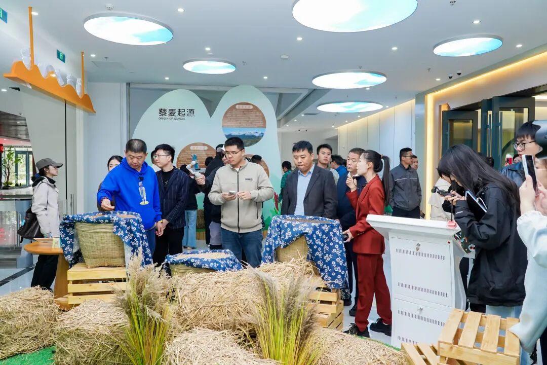 倒计时3天!全国营养师科普代言,用科学解读沽源藜麦