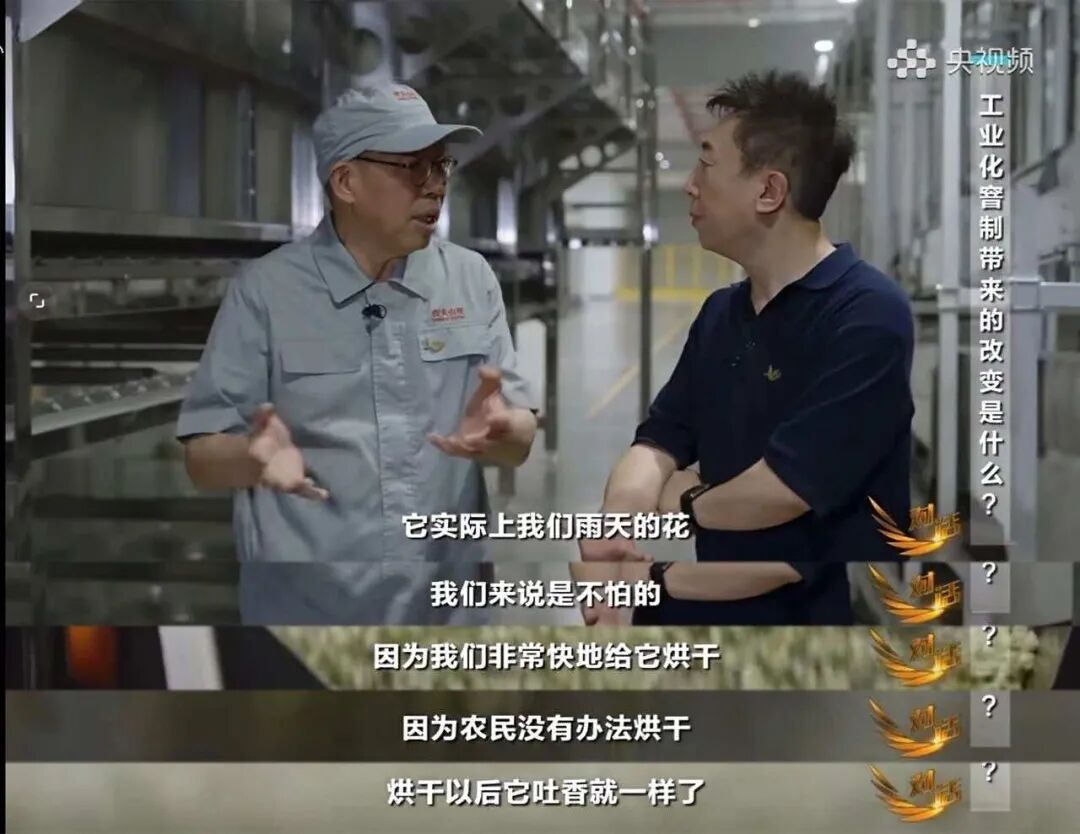 一朵被低估的茉莉花,如何窨出东方树叶的中国茶香?