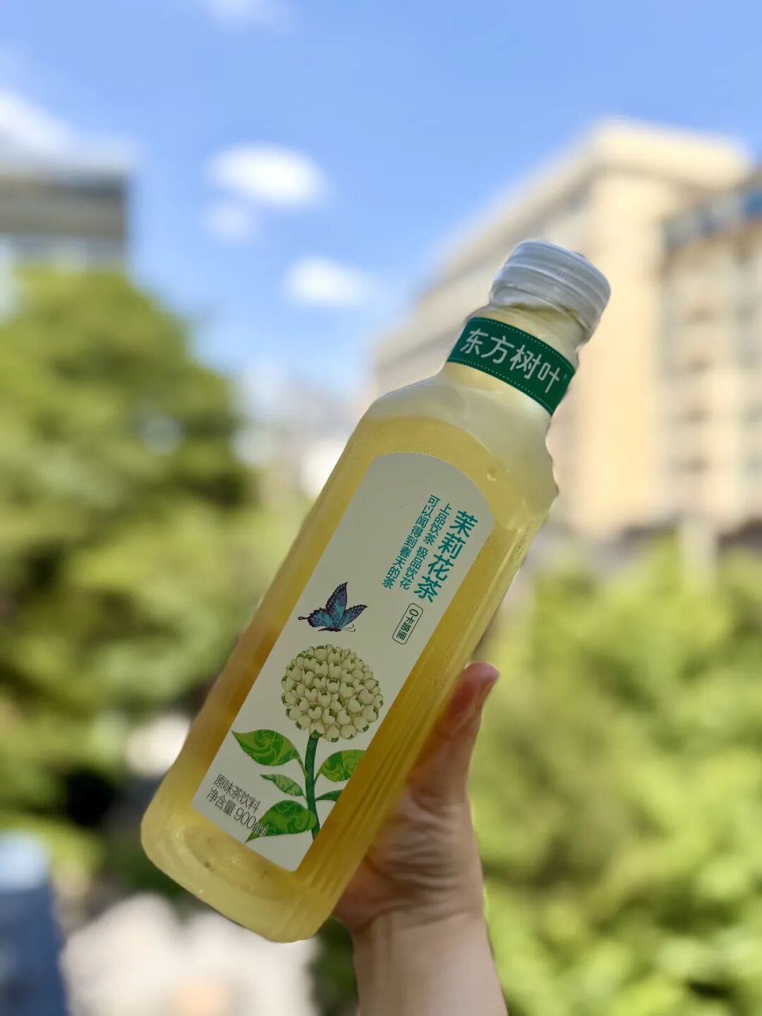 一朵被低估的茉莉花,如何窨出东方树叶的中国茶香?