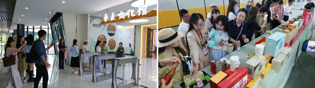 “全国营养师沽源藜麦营养科普行动”正式启动!高蛋白赛道迎来专业背书时代