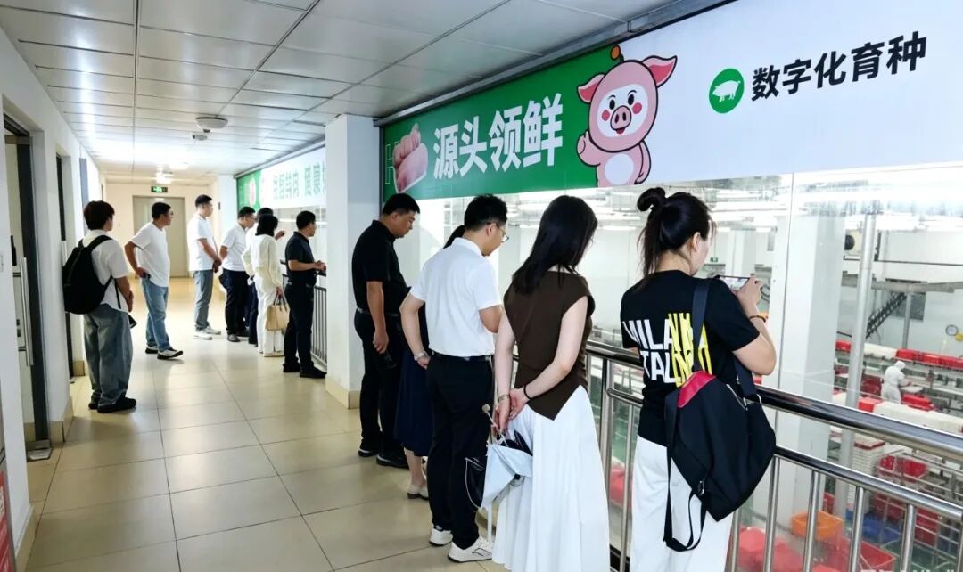 聚力共建,以鲜破局!扬翔,重塑中国生猪鲜肉食材产业价值