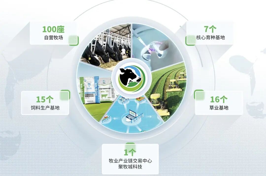 买买买!伊利、澳亚、贝因美……到底在抢什么?