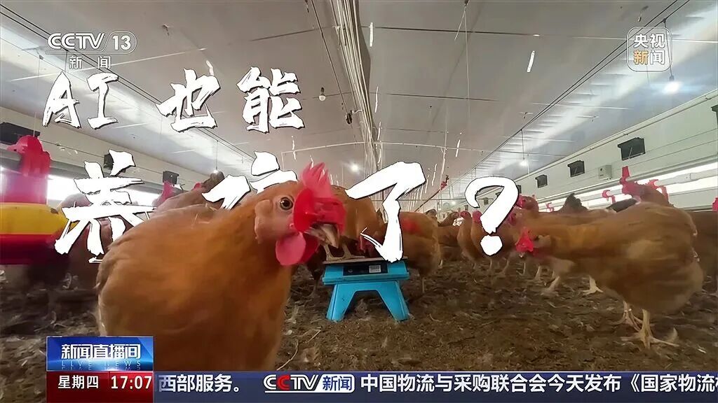 牧原牵手华为、双汇全链路AI、锅圈智能炒菜……食材巨头集体“换脑子”