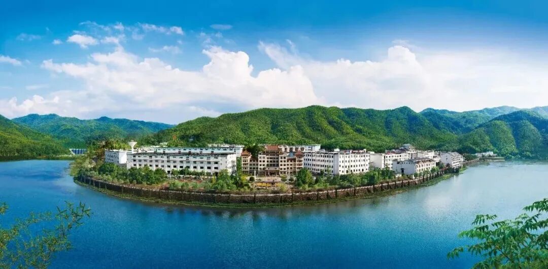 深耕结构、精耕渠道，迎驾走出独立复苏曲线