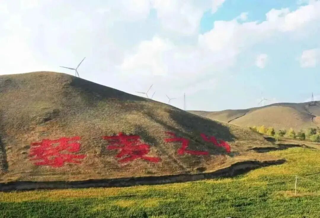 一粒藜麦,正在重塑中国人的餐桌