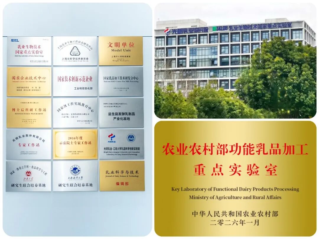 光明乳业2026半年报:创新驱动提质增效,经营基本面稳健向好!