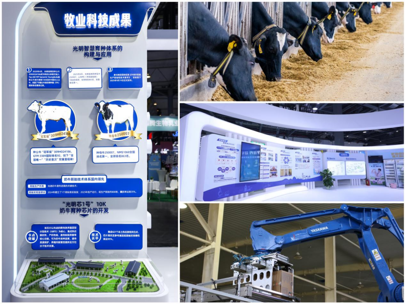 光明乳业2026半年报:创新驱动提质增效,经营基本面稳健向好!