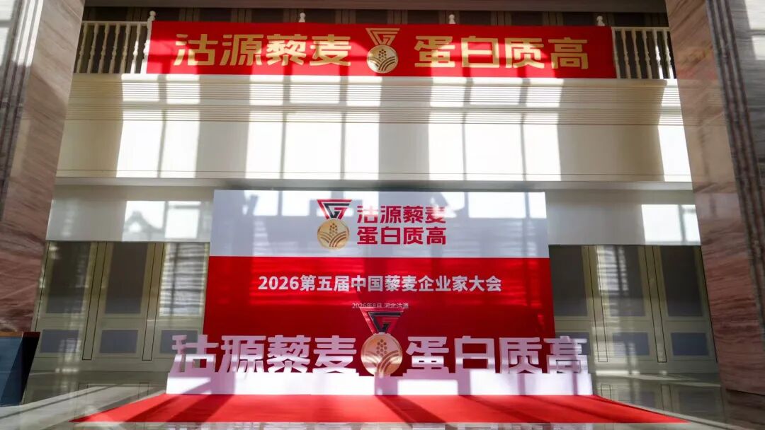 沽源藜麦 蛋白质高——2026第五届中国藜麦企业家大会在沽源召开