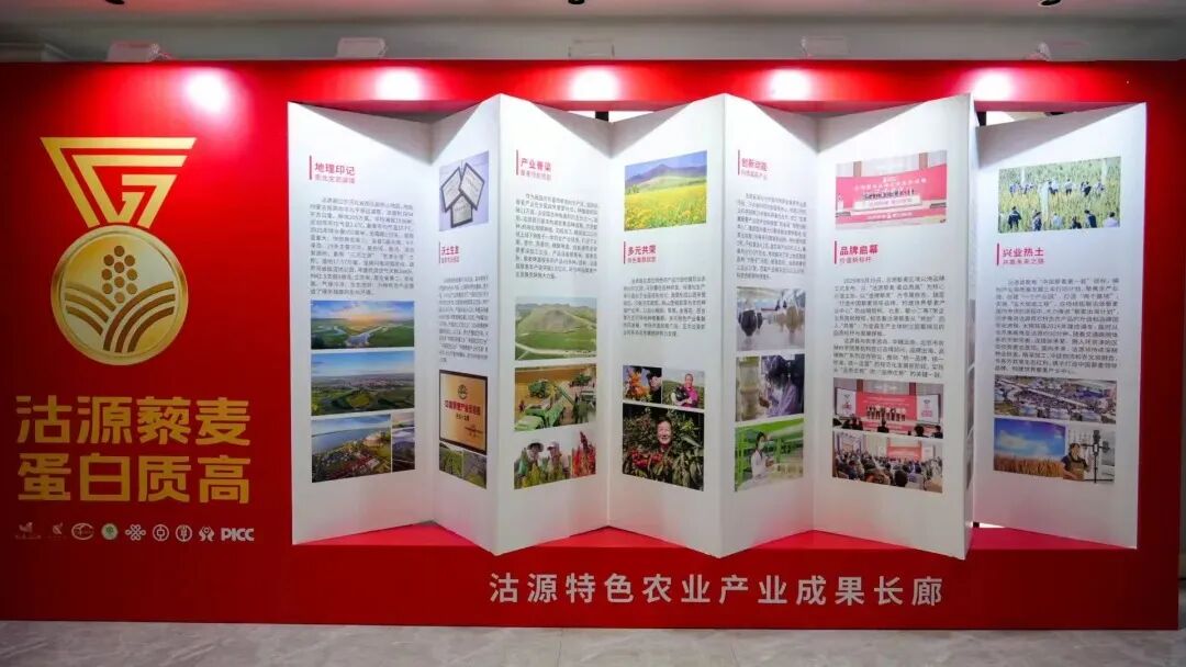 坝上藜香飘四海 全链聚力启新篇——2026第五届中国藜麦企业家大会在沽源成功举办
