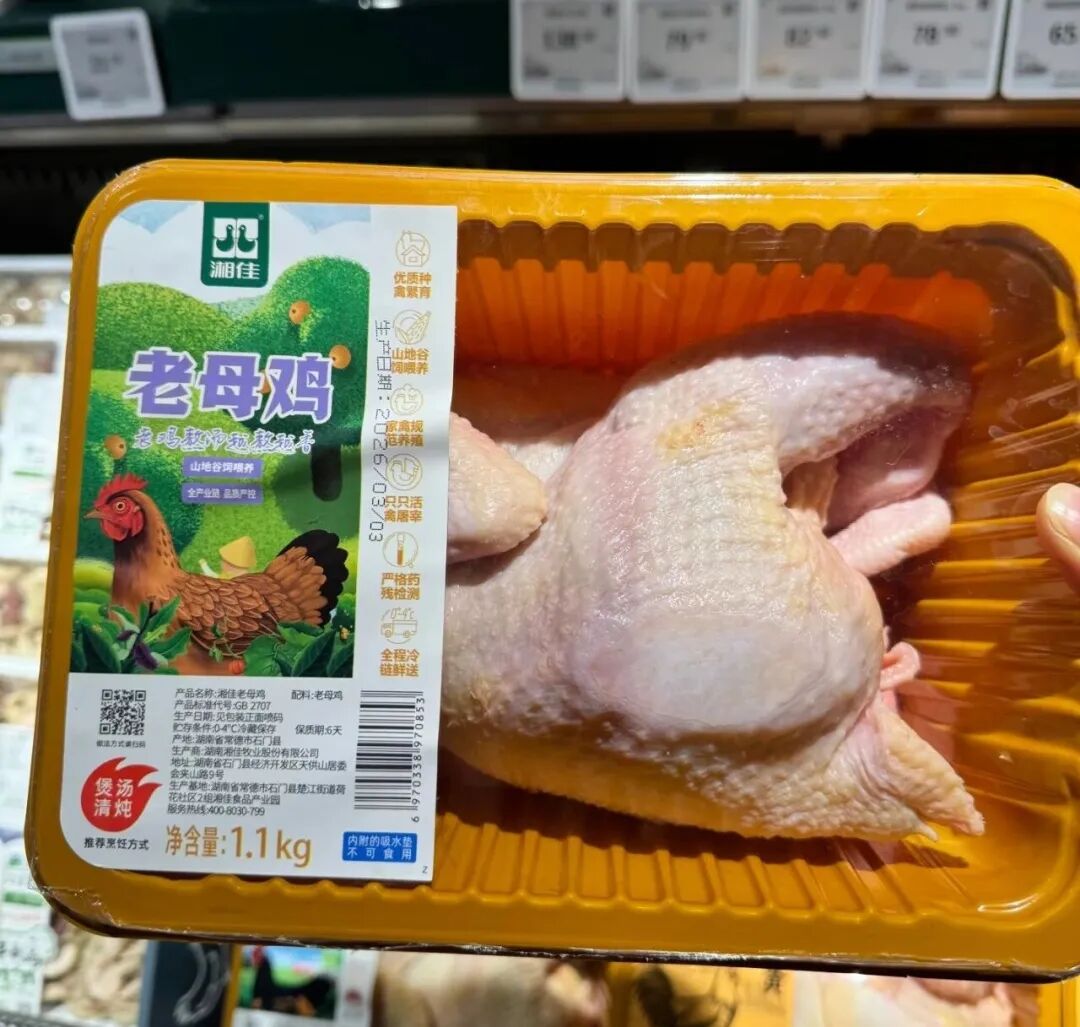 中华土鸡的“华山突围战”