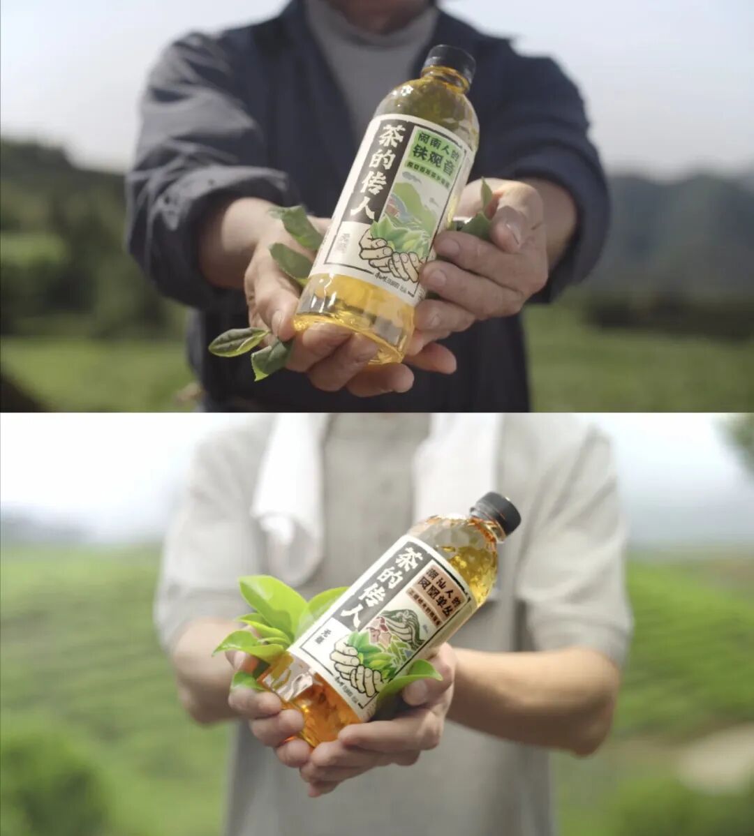消费者为什么愿意再等一年？东方美人茶的“一年一遇”回归逻辑