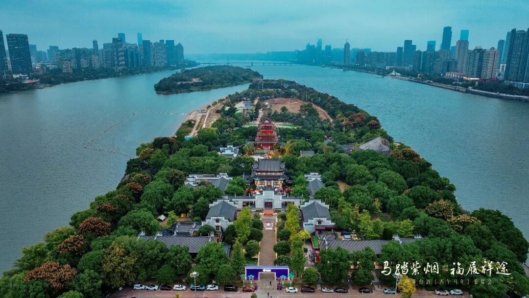 茅台马年生肖酒入星城，一场“以消费者为中心”的行业示范