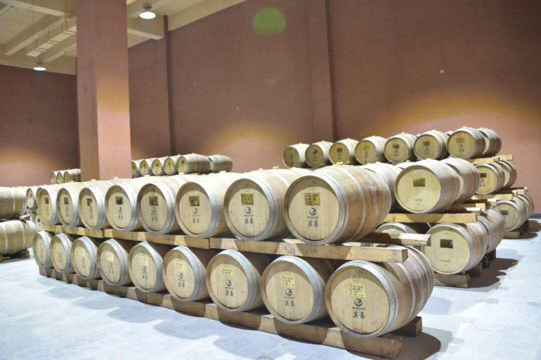 增长样本｜跳出行业内卷，莫高葡萄酒凭风土、品类、渠道三维力破局增长
