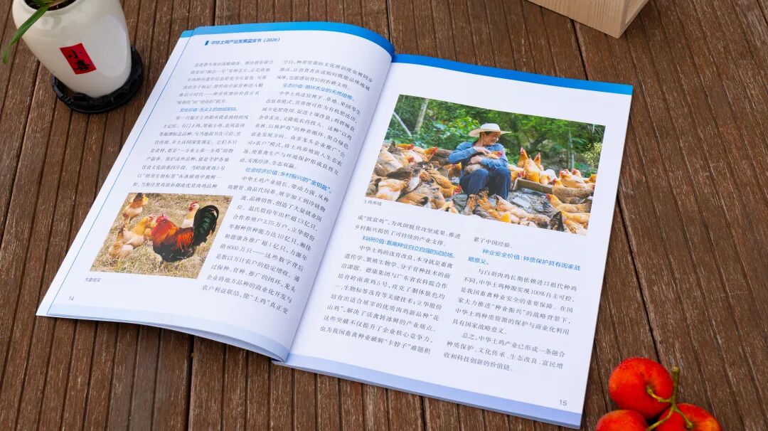 一只“叫了七千年”的鸡,为何要再立一个名字?