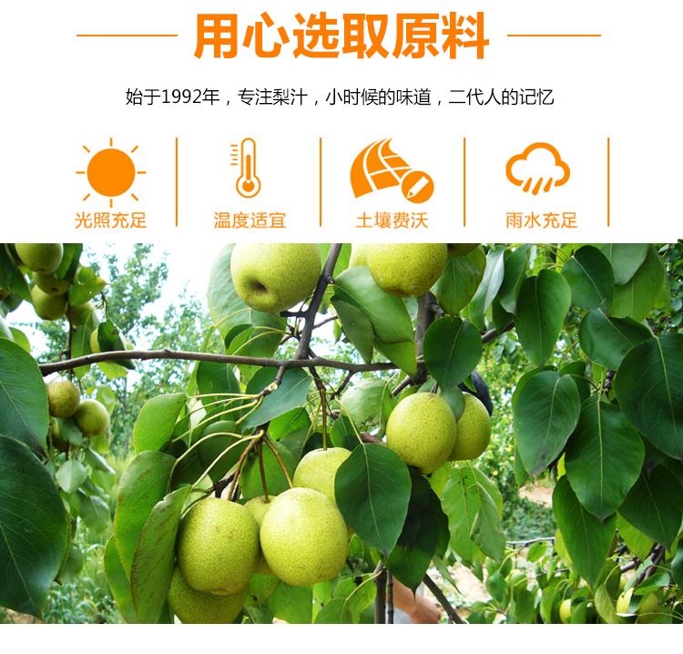 黄梨汁（便携装）