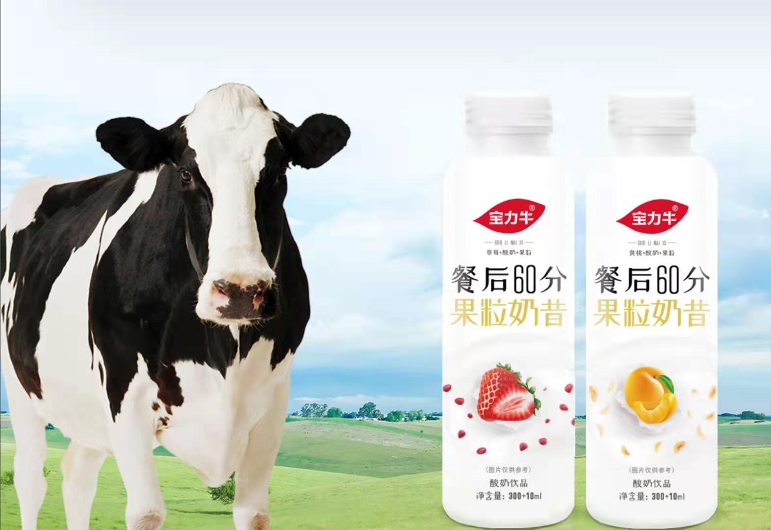 宝力牛果粒奶昔