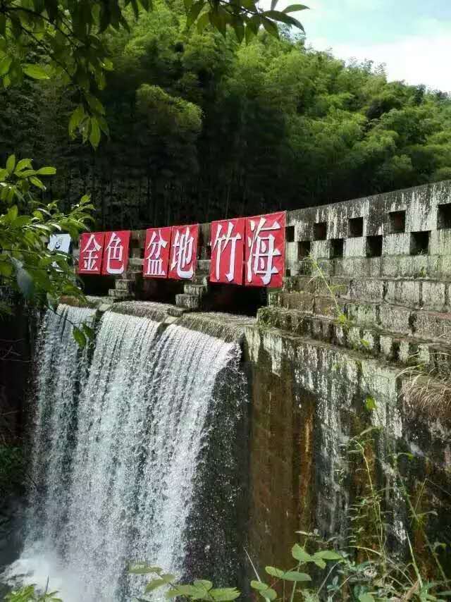 竹营养盐