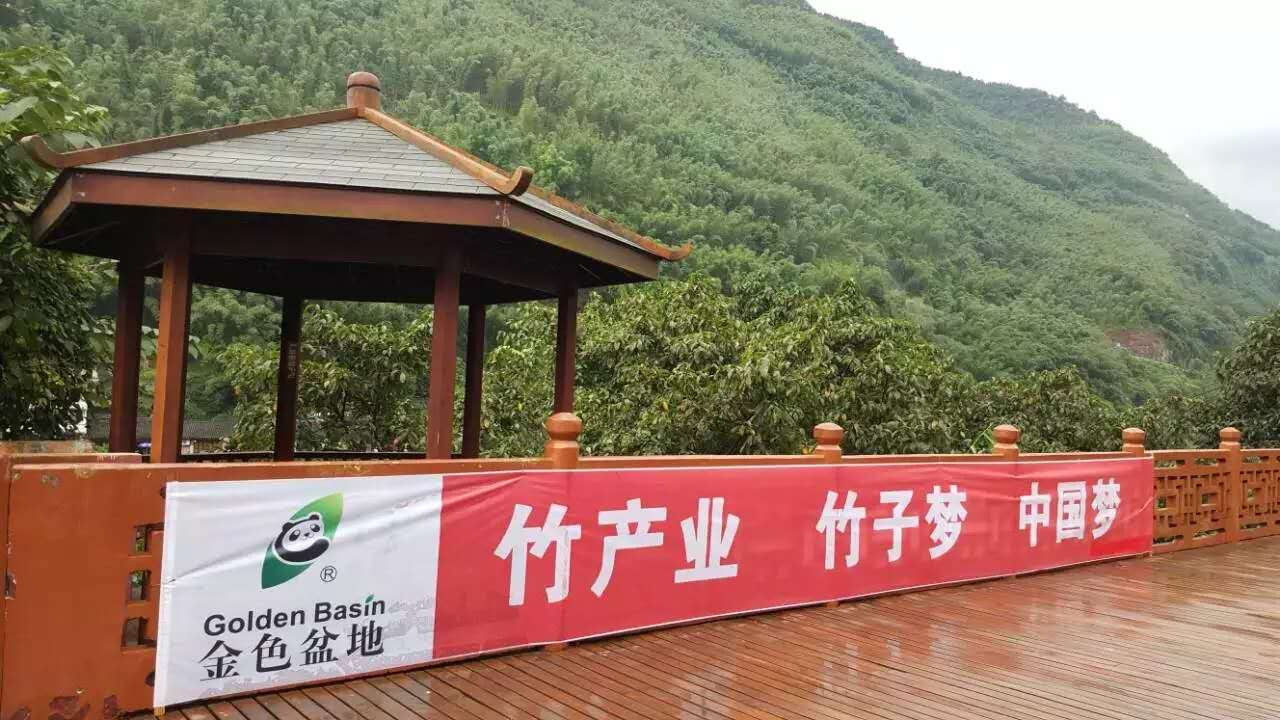 竹营养面条Bamboo noodles