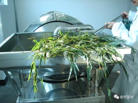 竹叶提取物