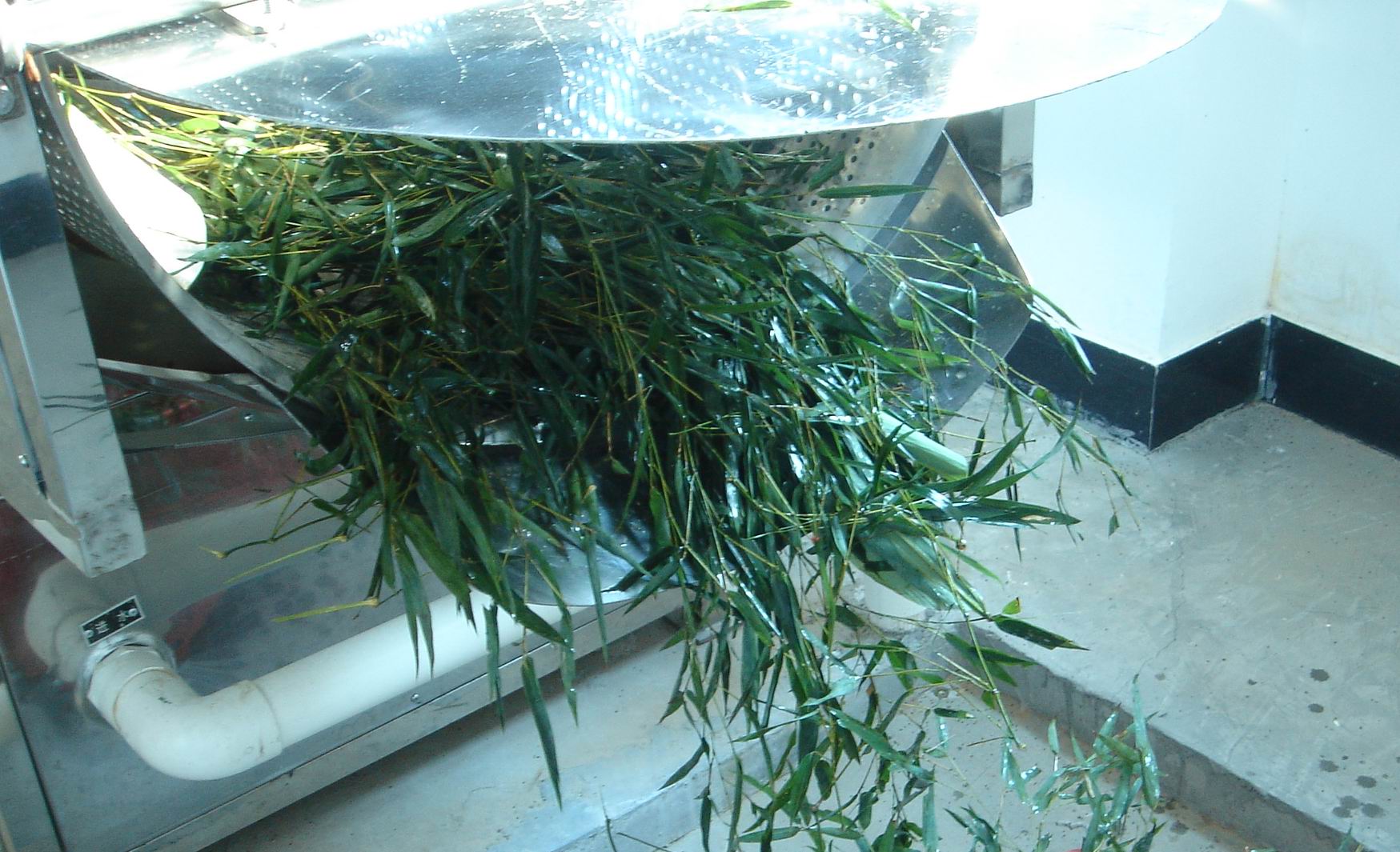 竹叶抗氧化物