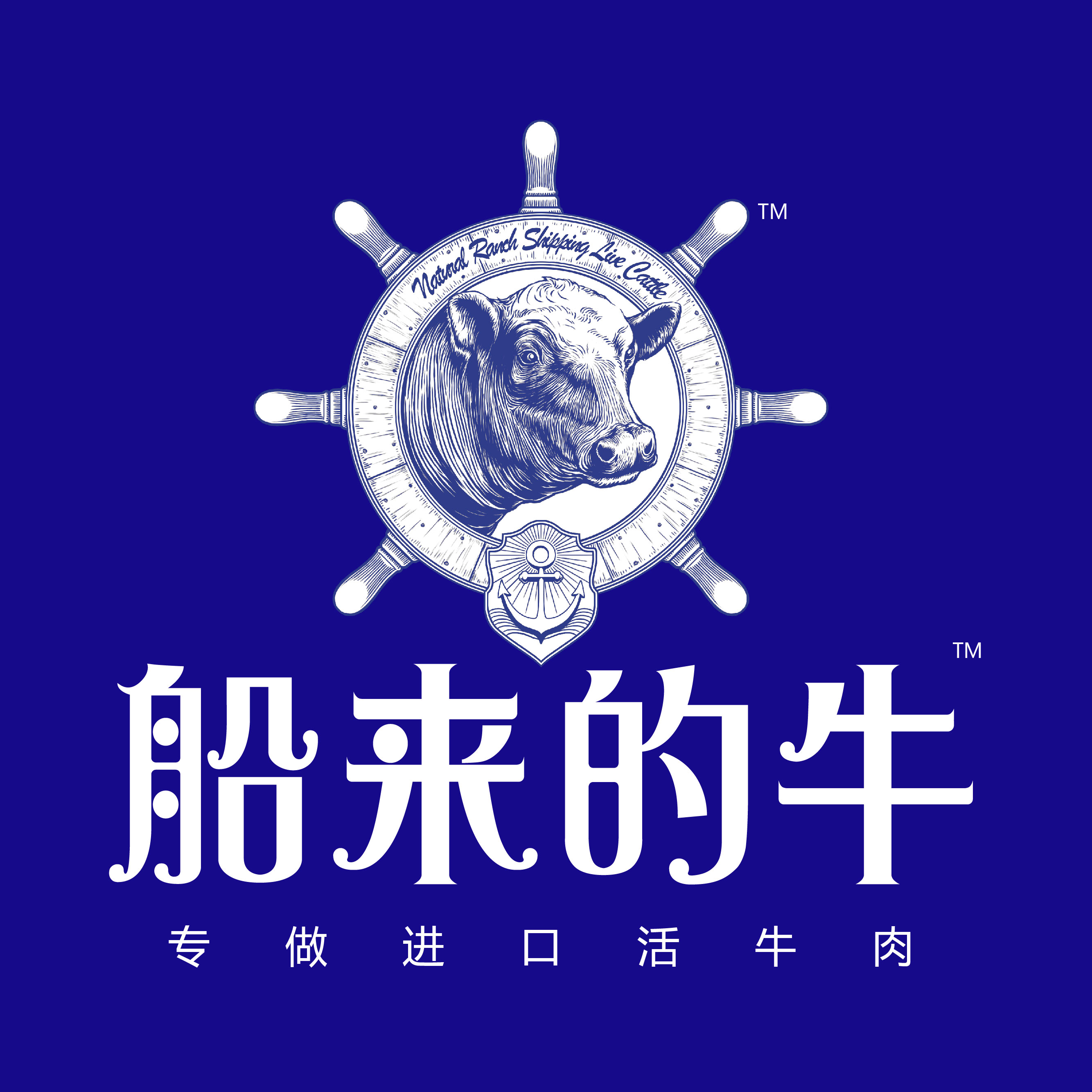 船来的牛牛肉 全案策划
