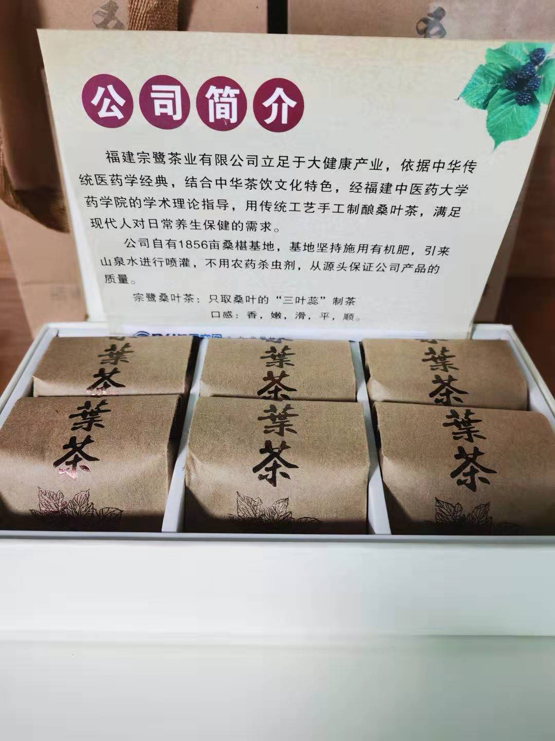 桑叶茶