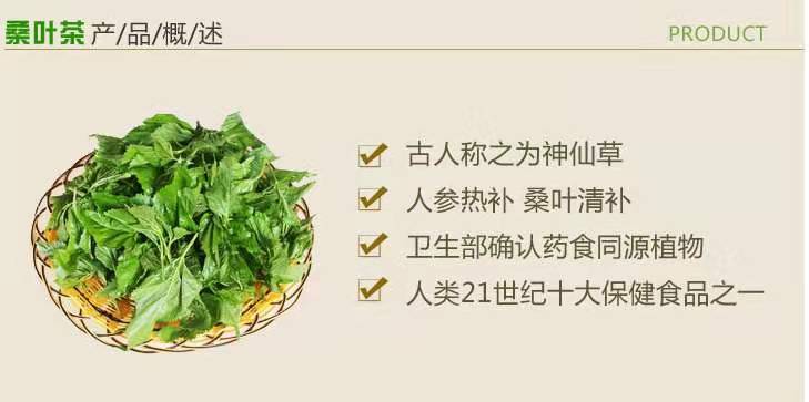 桑叶茶