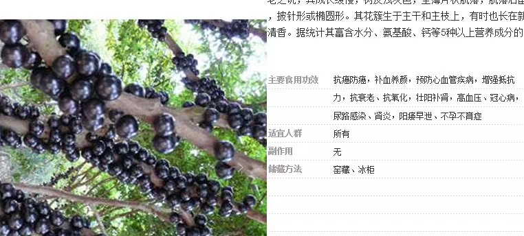 树葡萄酒