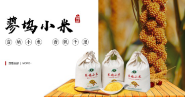 蓼坞小米