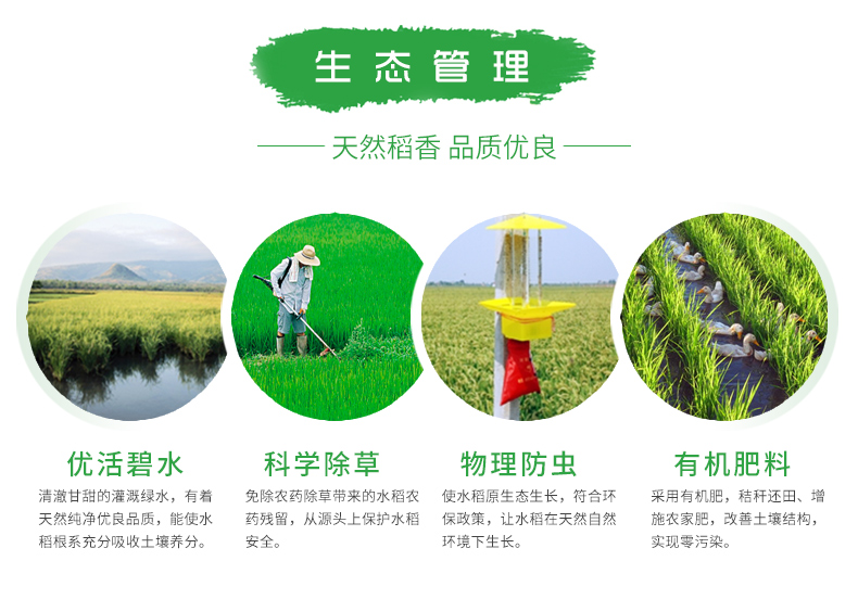 联河稻鸭共生米5KG