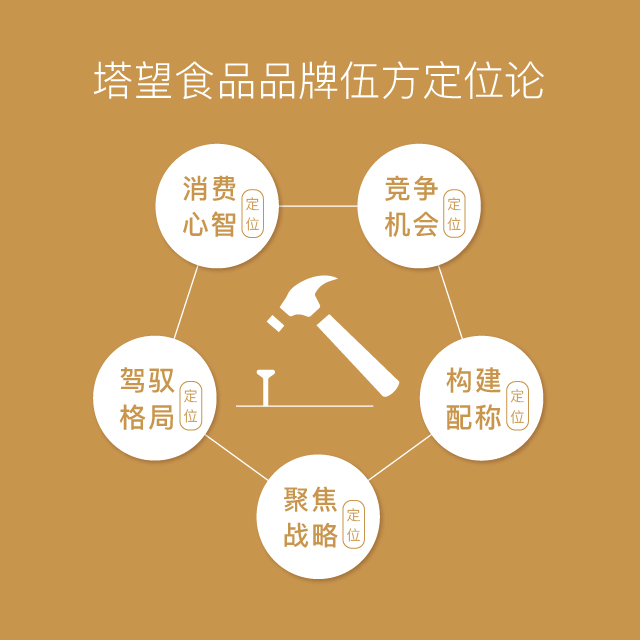 上海塔望公司介绍