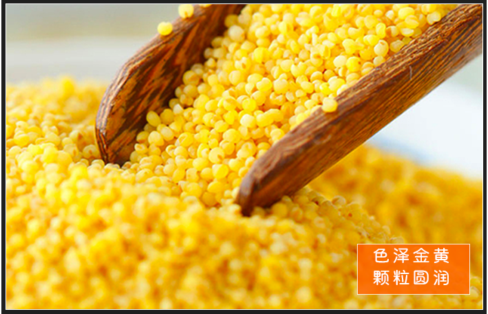 有机鸿福中礼2500g