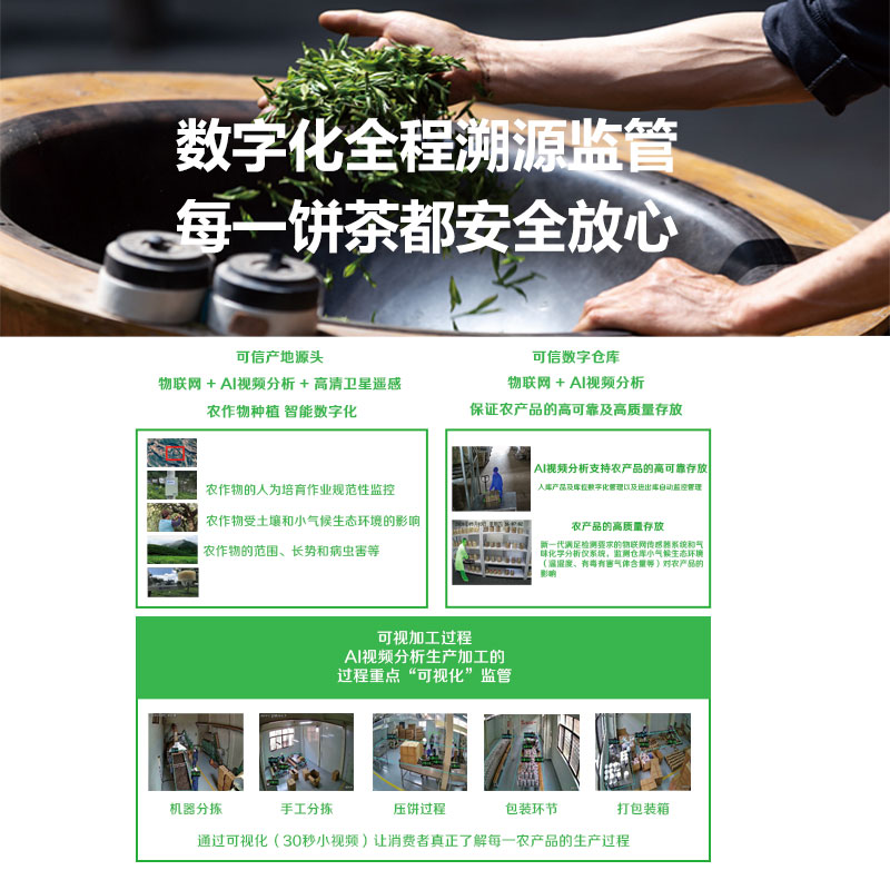 普洱茶高级定制