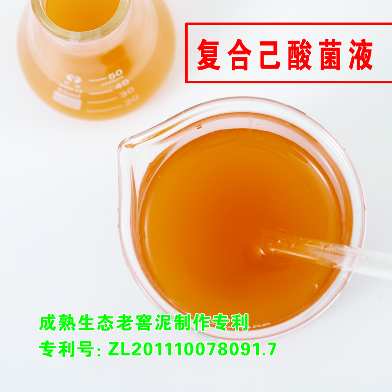复合己酸菌液