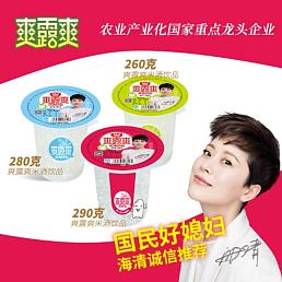 爽露爽湖北孝感米酒饮品