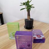 PVC、PET、PP胶盒