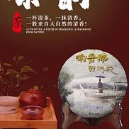 云南普洱茶生茶头春茶 357饼茶特级料