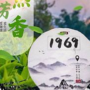 喃吾那1969普洱茶头春料古树茶
