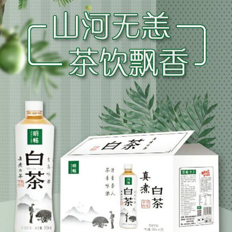 明畅即饮白茶500ml茶饮料