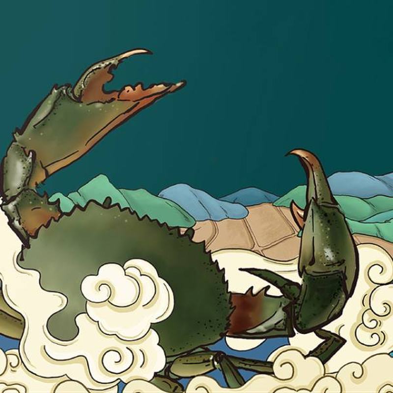 蟹大人品牌全案策划