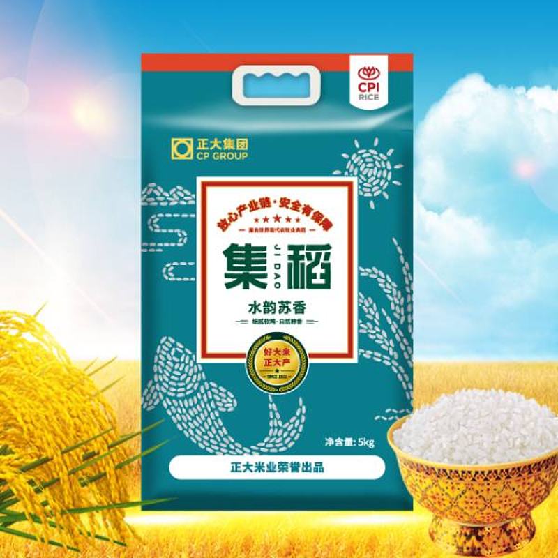 集稻品牌全案策划