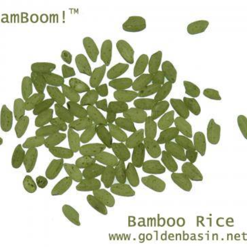 竹营养米bamboo rice